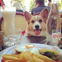 blog logo of eatingwithdogs૮(ฅ•ﻌ•ฅ)ა