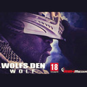 blog logo of The Wolf of Paintball