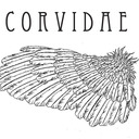 Corvidae