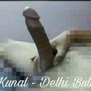 Delhi Bull