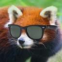 NotSoRedPanda