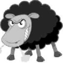 Black Sheep