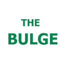 blog logo of The BULGE