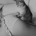 Kinky kitten