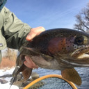 blog logo of Fly Fishing Colorado