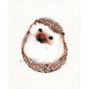 thathappyhedgehog