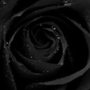 blog logo of DarkRose