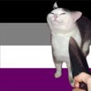 blog logo of im still asexual, assholes