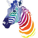 blog logo of LashedZebra05