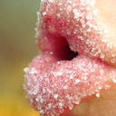 blog logo of Pair of Candy Lips