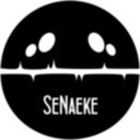 blog logo of senaeke