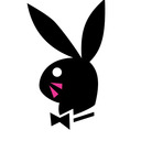 blog logo of Playboy BunnyFrog