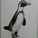 Penguinnn