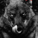 blog logo of Daddy Wolf