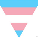 blog logo of SAVE TRANS KIDS