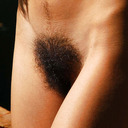 blog logo of Very Hairy Bush