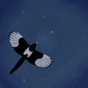 blog logo of the birds have been singing at night