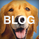 blog logo of Blog Dogz