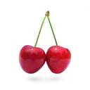 blog logo of Cherry