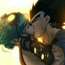 blog logo of Vegeta loves Bulma