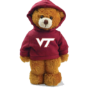 blog logo of Hokie Cub