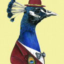 blog logo of Mr.FuzzyPeaCOCK