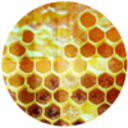 blog logo of honeysims