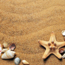 blog logo of | Fun | Sand | Sunshine |