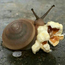 blog logo of It's a Snail Party!