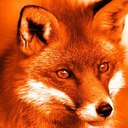 blog logo of FOXIES AID