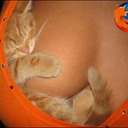 blog logo of kitties and titties