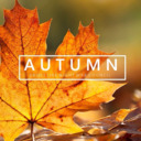 blog logo of autumnians