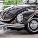 Baywindowbug