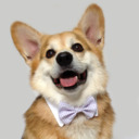 blog logo of Such Fandom, So Corgi, Much Geek