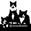 blog logo of TuxedoTrio