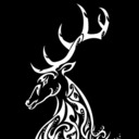 blog logo of The White Stag