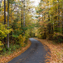 Cabins and Quiet Places