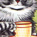 tea time cat