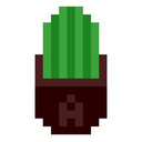 a cactus.