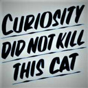 blog logo of curious-kittens-ocs