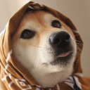 blog logo of Sweet Shibes