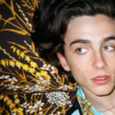 blog logo of Timothée Chalamet Fans