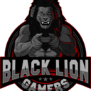  BlackLionGamers