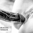 blog logo of Interracial Fine Touch