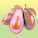 blog logo of Alligator Pear