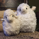 blog logo of FLOOFY SHEEP