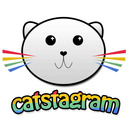 blog logo of catstagram