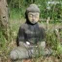 buddhabe