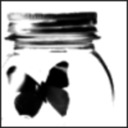 blog logo of Scattering flower petals...