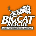 Big Cat Rescue